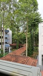 Blk 252 Bukit Batok East Avenue 5 (Bukit Batok), HDB 3 Rooms #589907391